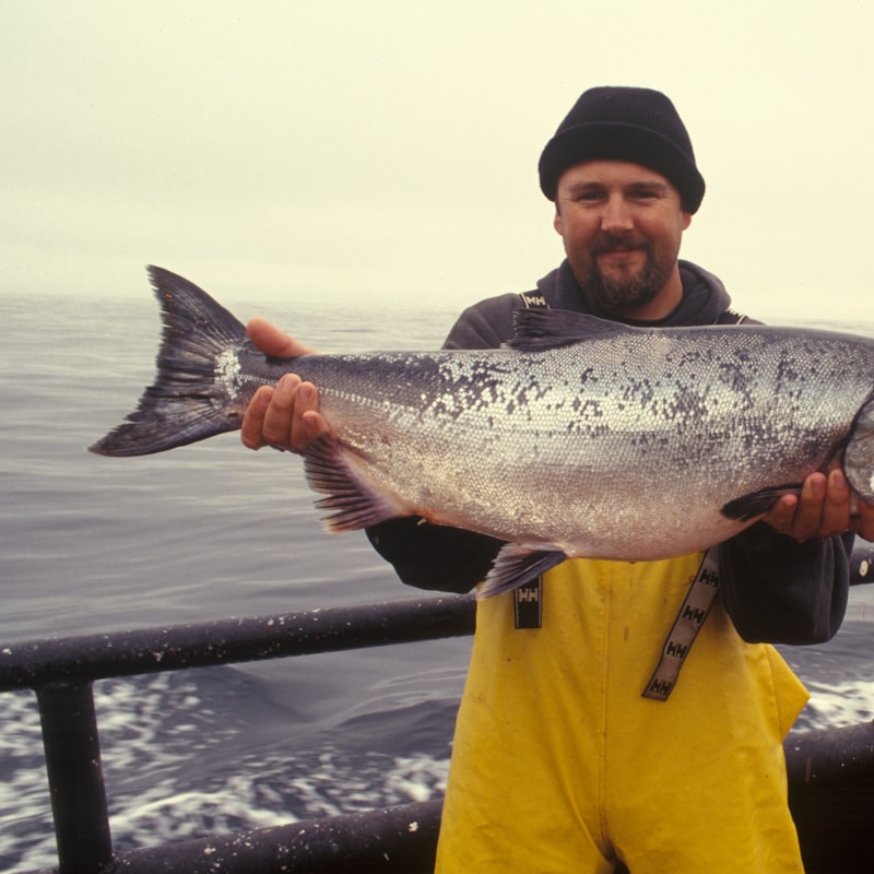 قلاية هوائية