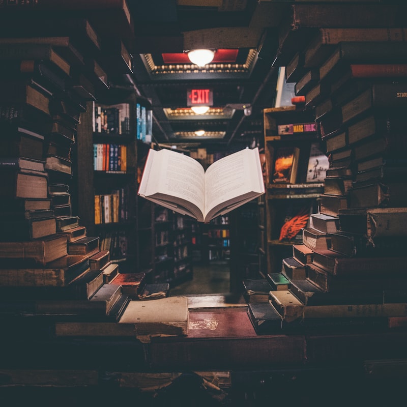 دليل البرمجة